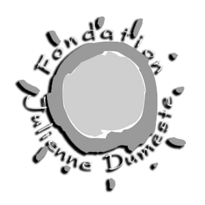 Logo DumesteNB
